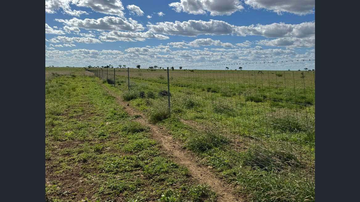 16589 Thomson Developmental Road, Longreach For Sale by Farmbuy.com - image 18