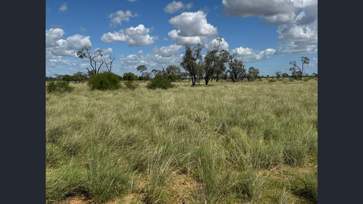 16589 Thomson Developmental Road, Longreach For Sale by Farmbuy.com - image 25