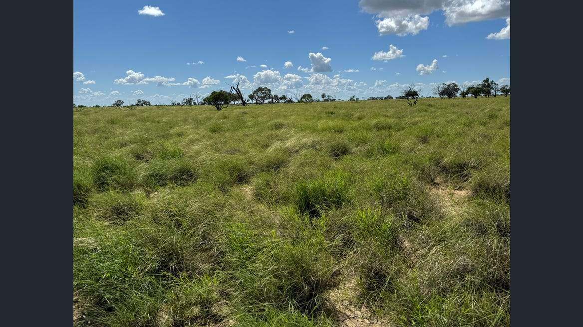 16589 Thomson Developmental Road, Longreach For Sale by Farmbuy.com - image 3
