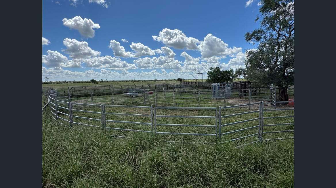 16589 Thomson Developmental Road, Longreach For Sale by Farmbuy.com - image 34