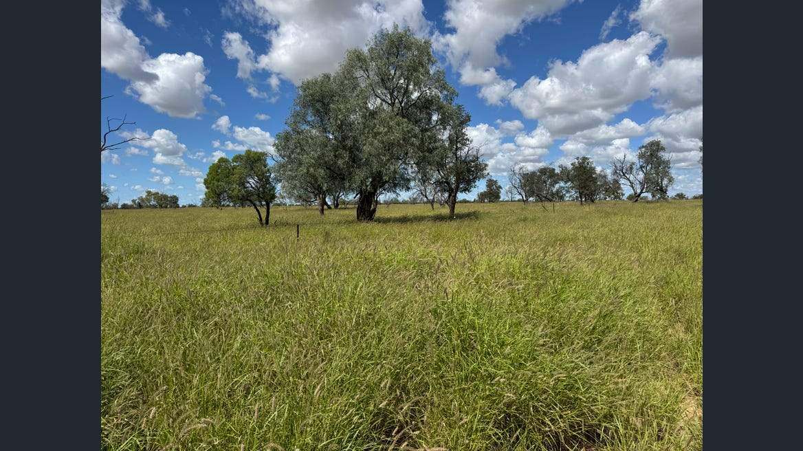 16589 Thomson Developmental Road, Longreach For Sale by Farmbuy.com - image 26