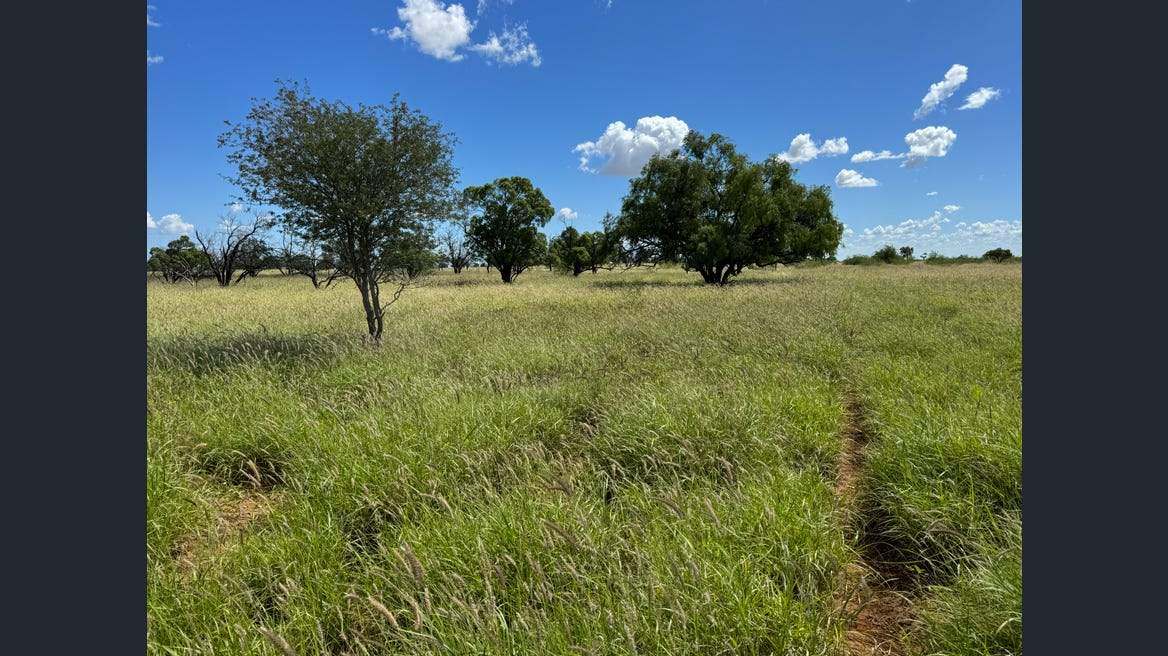 16589 Thomson Developmental Road, Longreach For Sale by Farmbuy.com - image 27