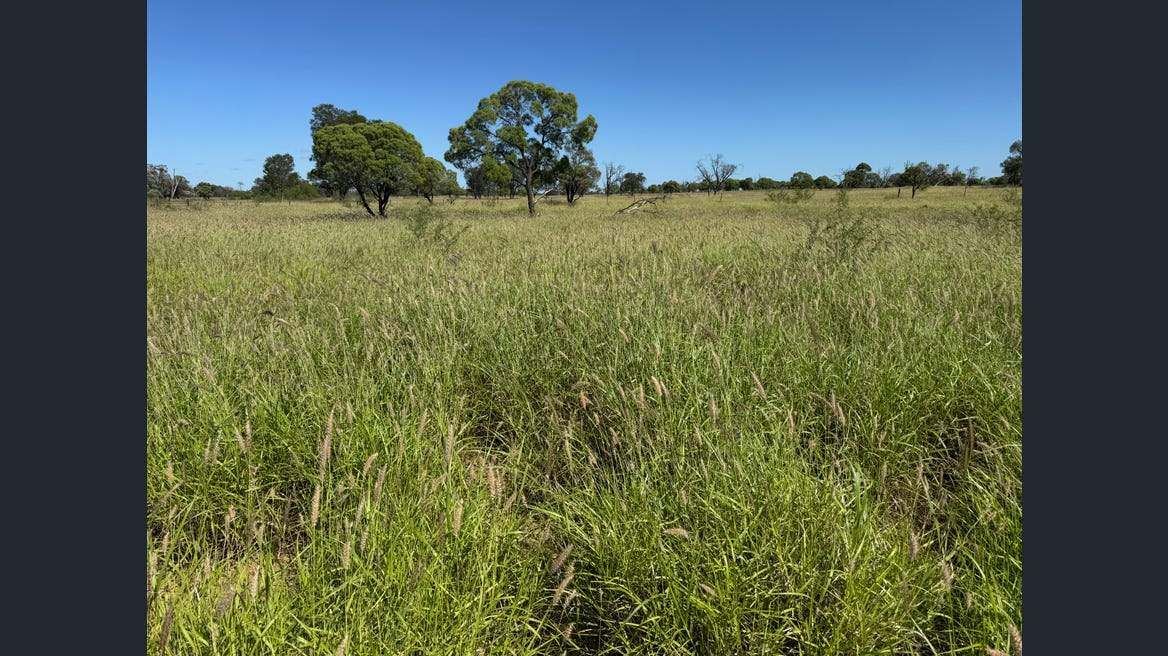 16589 Thomson Developmental Road, Longreach For Sale by Farmbuy.com - image 8