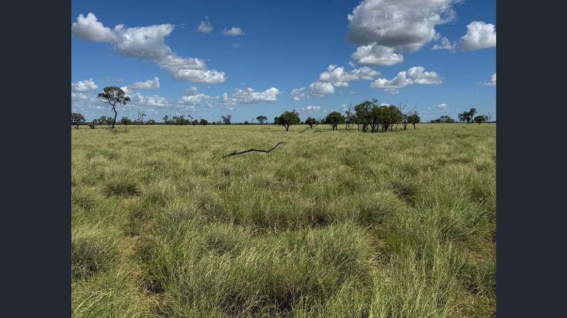 16589 Thomson Developmental Road, Longreach For Sale by Farmbuy.com - image 9