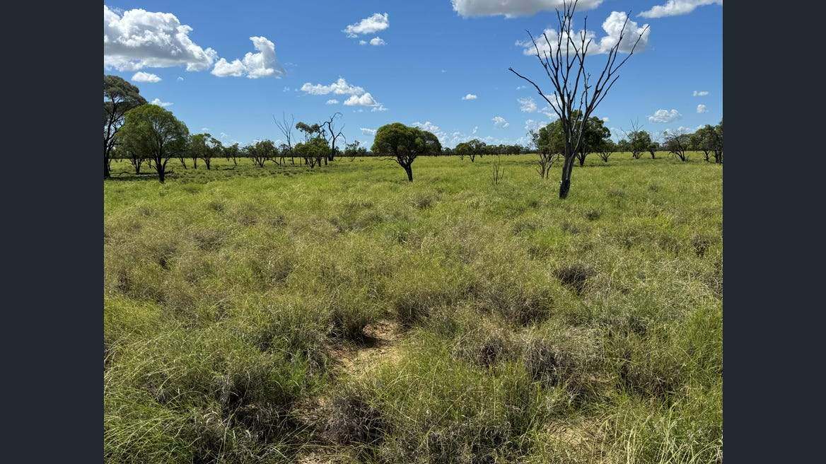 16589 Thomson Developmental Road, Longreach For Sale by Farmbuy.com - image 22
