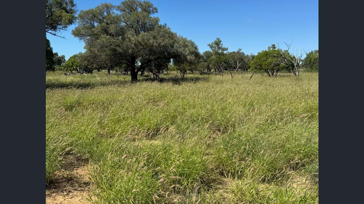 16589 Thomson Developmental Road, Longreach For Sale by Farmbuy.com - image 15