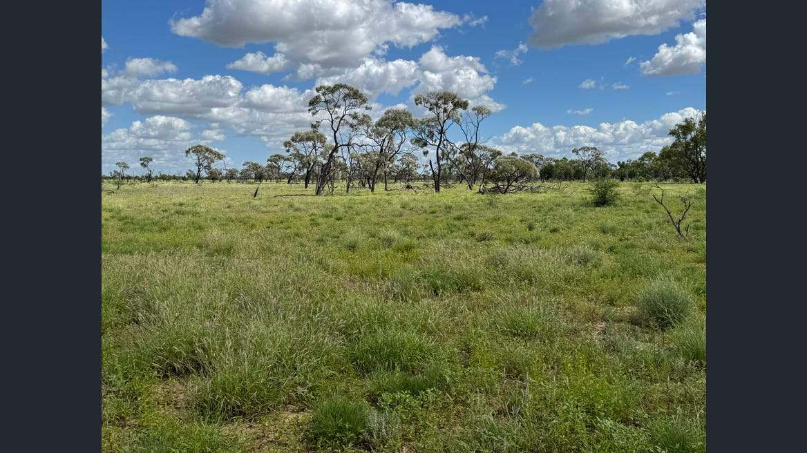 16589 Thomson Developmental Road, Longreach For Sale by Farmbuy.com - image 14