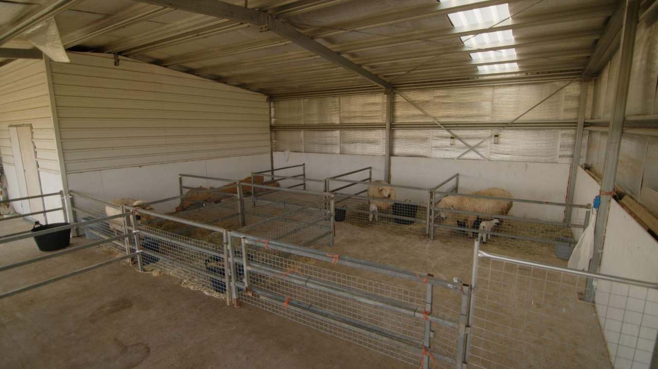 47 Kirwans Road, Dumbleton For Sale by Farmbuy.com - image 33