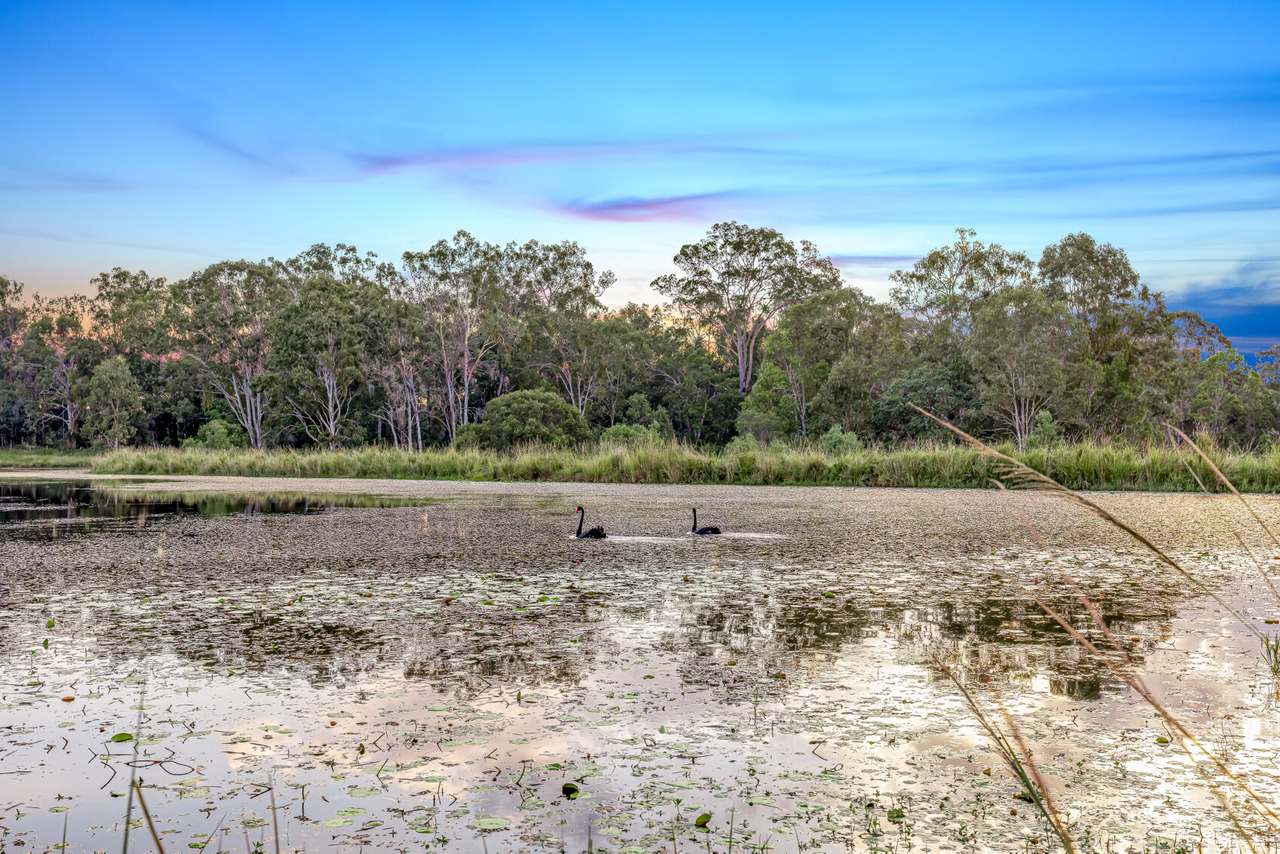 320 Bauple Woolooga Road, Gundiah For Sale by Farmbuy.com - image 30