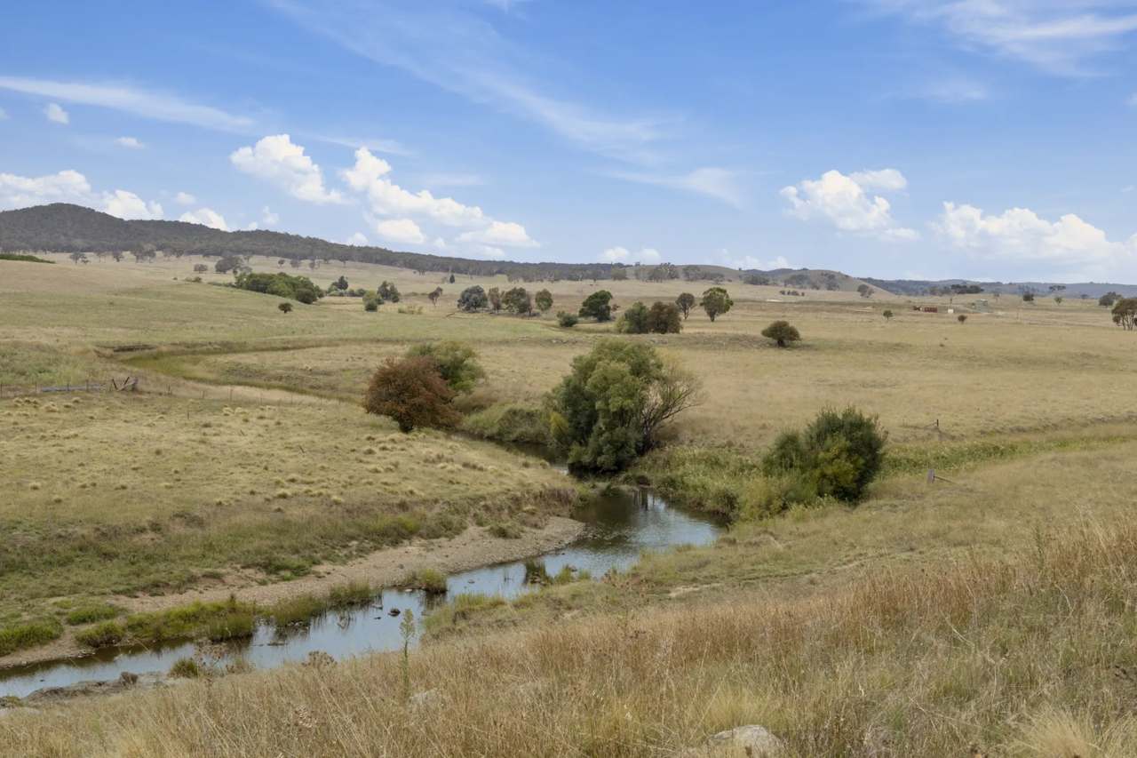 Lot 15 & 16 DP1177721 Barton Highway, Murrumbateman For Sale by Farmbuy.com - image 7