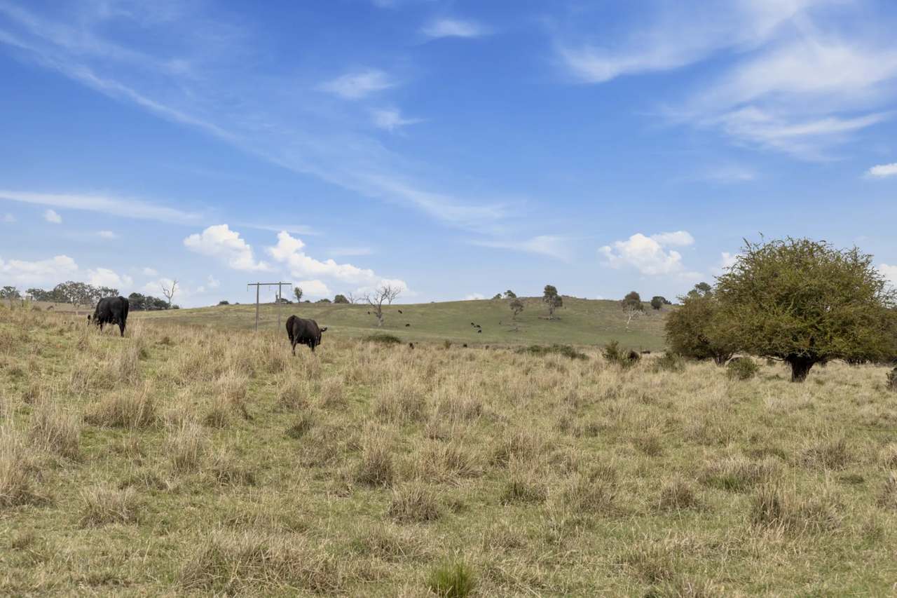 Lot 15 & 16 DP1177721 Barton Highway, Murrumbateman For Sale by Farmbuy.com - image 6