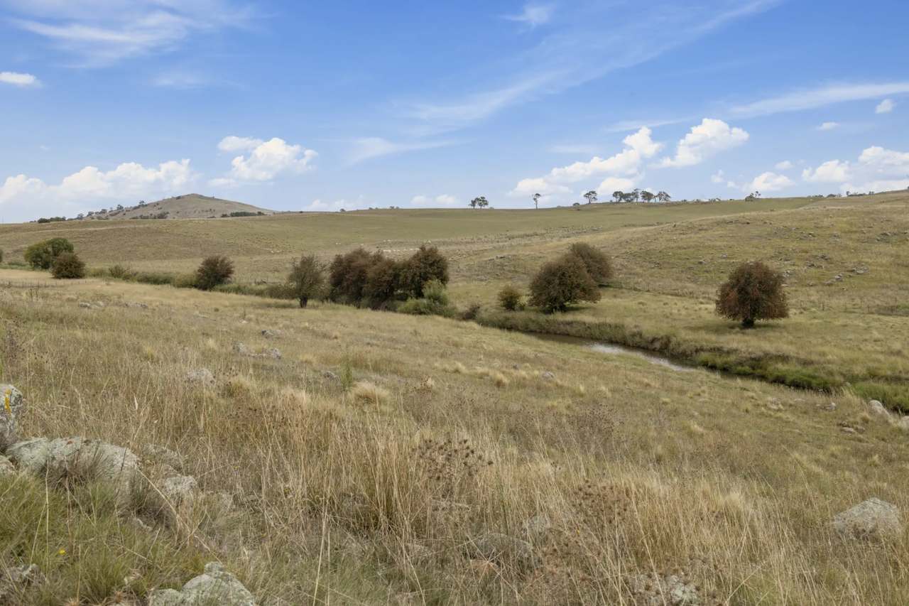 Lot 15 & 16 DP1177721 Barton Highway, Murrumbateman For Sale by Farmbuy.com - image 9