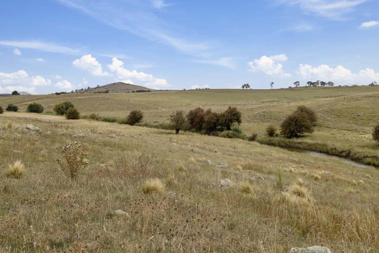 Lot 15 & 16 DP1177721 Barton Highway, Murrumbateman For Sale by Farmbuy.com - image 10