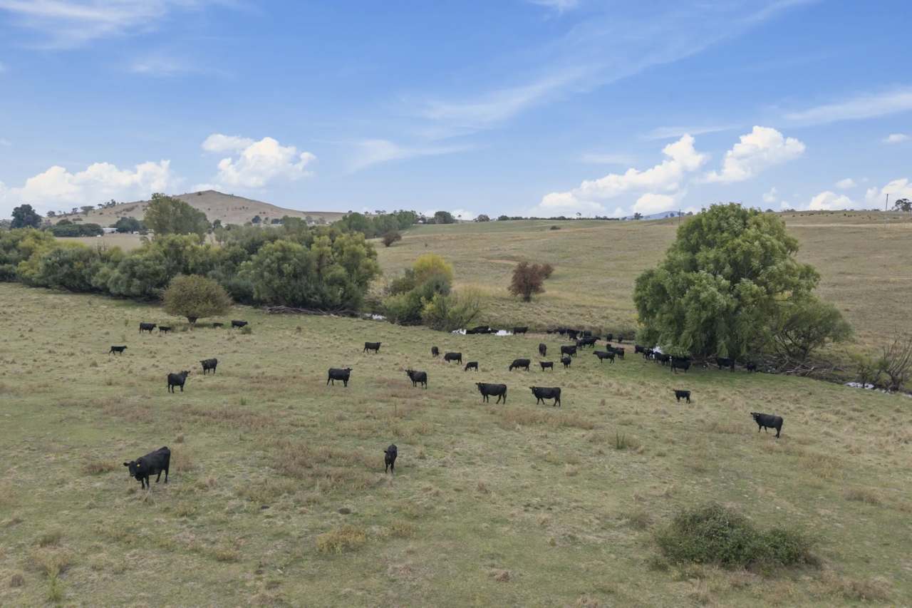 Lot 15 & 16 DP1177721 Barton Highway, Murrumbateman For Sale by Farmbuy.com - image 34