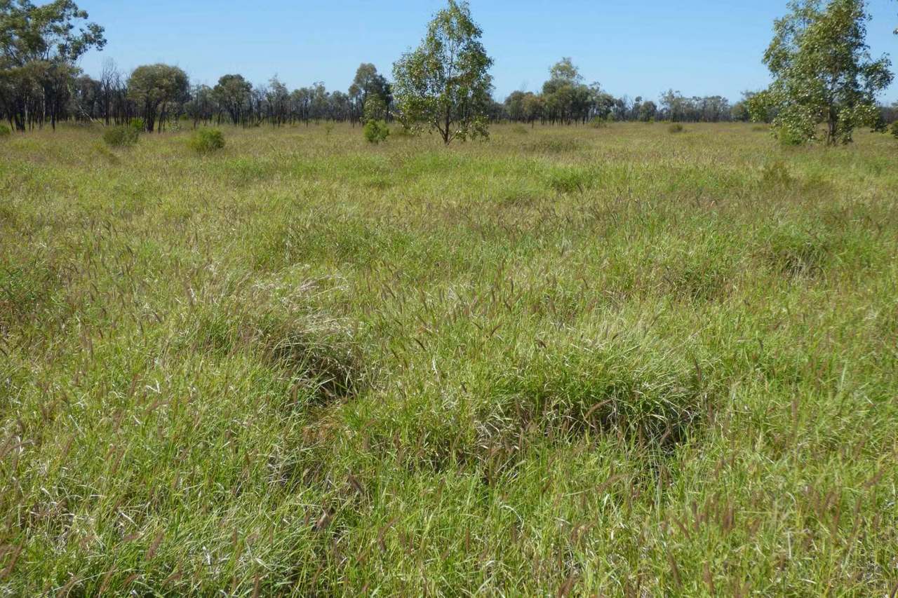 4631 Middle Creek Road, Langlo Auction by Farmbuy.com - image 16