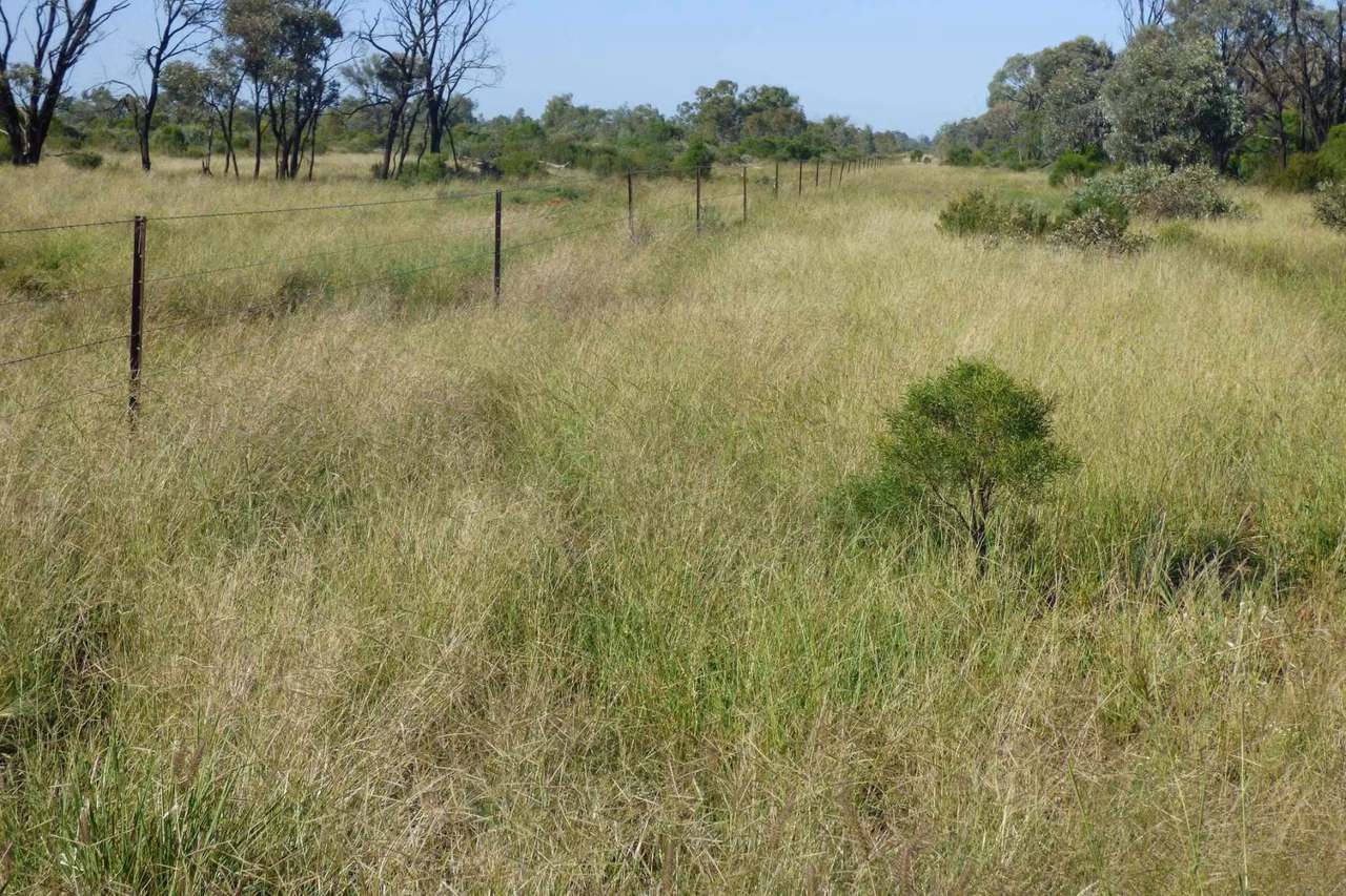 4631 Middle Creek Road, Langlo Auction by Farmbuy.com - image 8