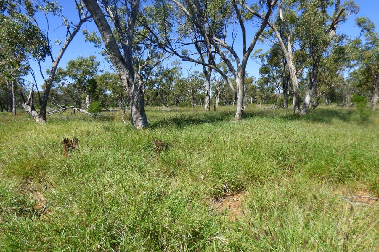 4631 Middle Creek Road, Langlo Auction by Farmbuy.com - image 1