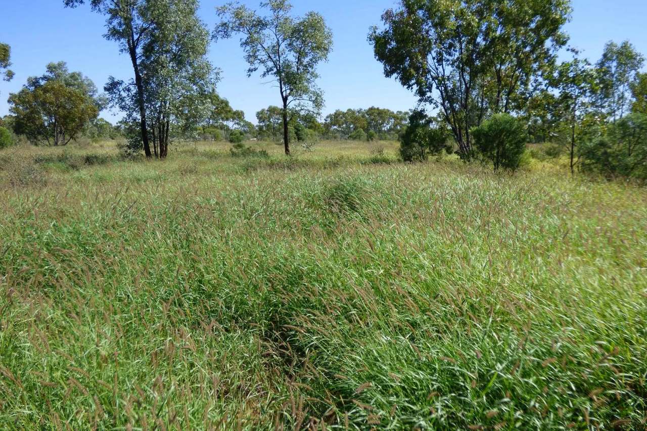 4631 Middle Creek Road, Langlo Auction by Farmbuy.com - image 15