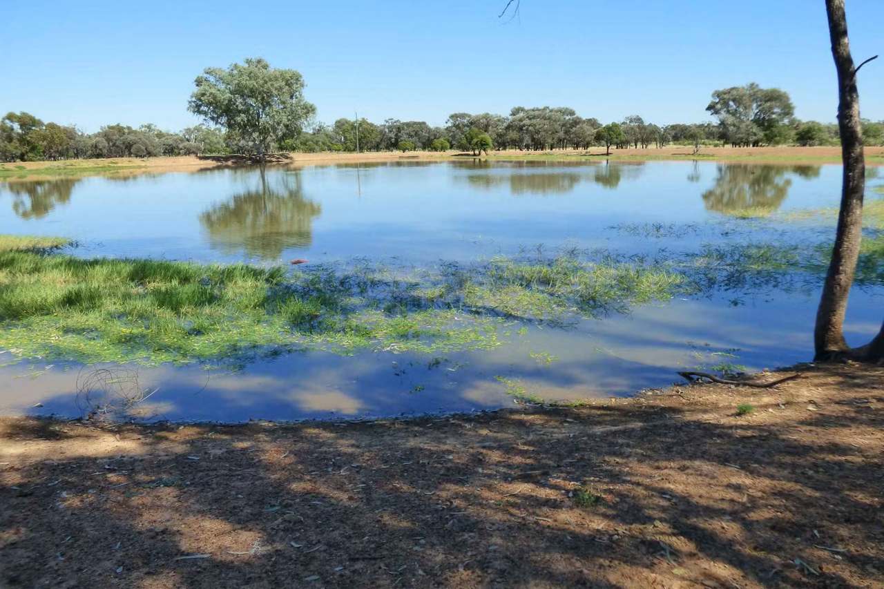 4631 Middle Creek Road, Langlo Auction by Farmbuy.com - image 17