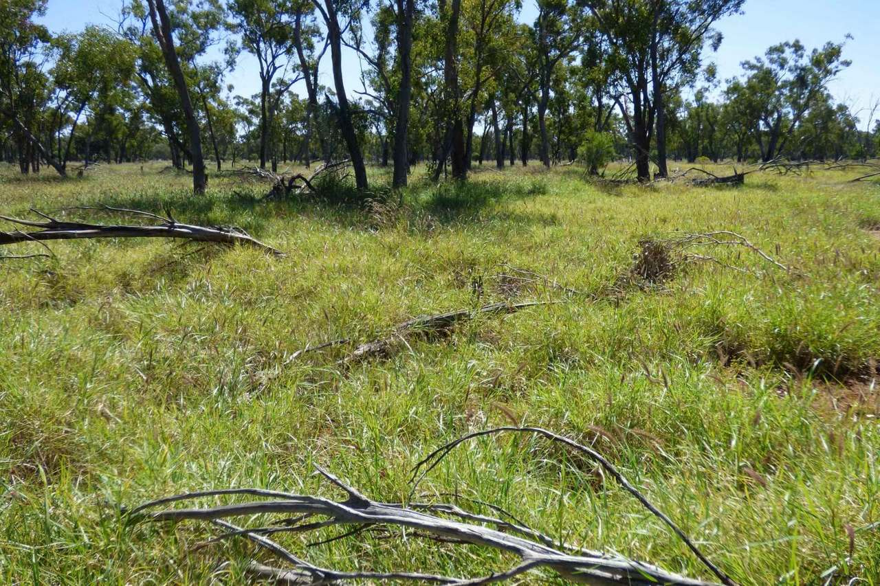 4631 Middle Creek Road, Langlo Auction by Farmbuy.com - image 2