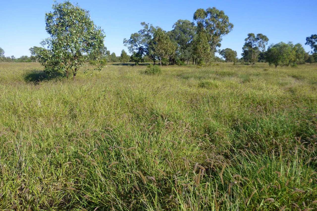 4631 Middle Creek Road, Langlo Auction by Farmbuy.com - image 6