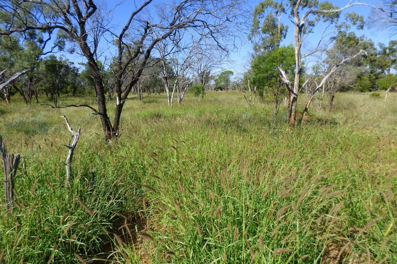 4631 Middle Creek Road, Langlo Auction by Farmbuy.com - image 12