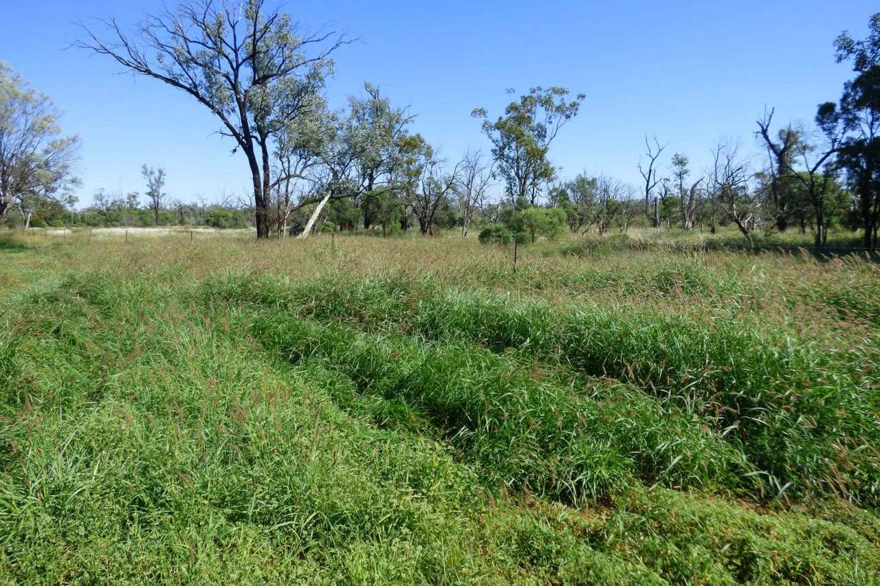 4631 Middle Creek Road, Langlo Auction by Farmbuy.com - image 14