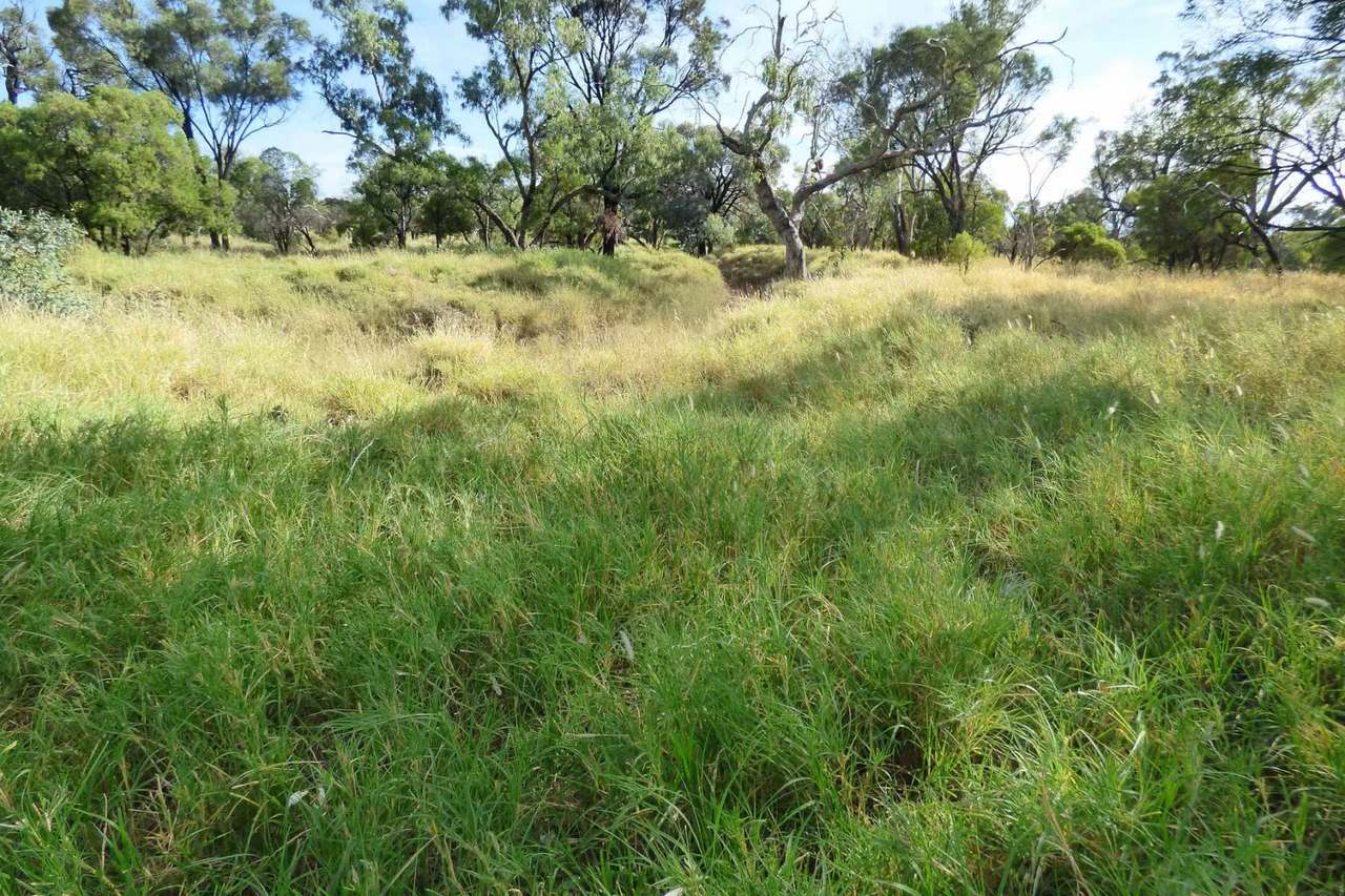 4631 Middle Creek Road, Langlo Auction by Farmbuy.com - image 7