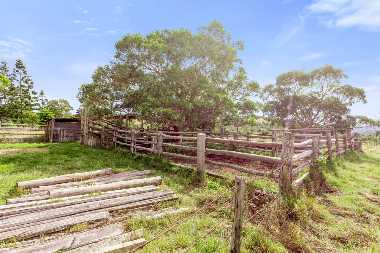 168 Repeater Station Road, Kanigan For Sale by Farmbuy.com - image 24