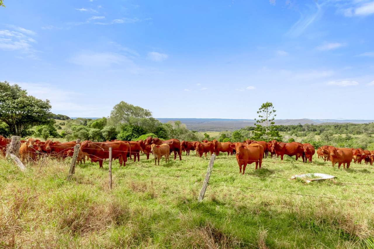 168 Repeater Station Road, Kanigan For Sale by Farmbuy.com - image 31