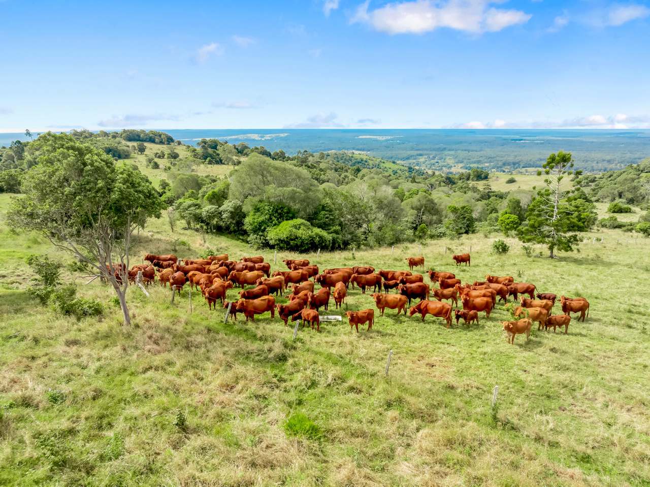 168 Repeater Station Road, Kanigan For Sale by Farmbuy.com - image 32