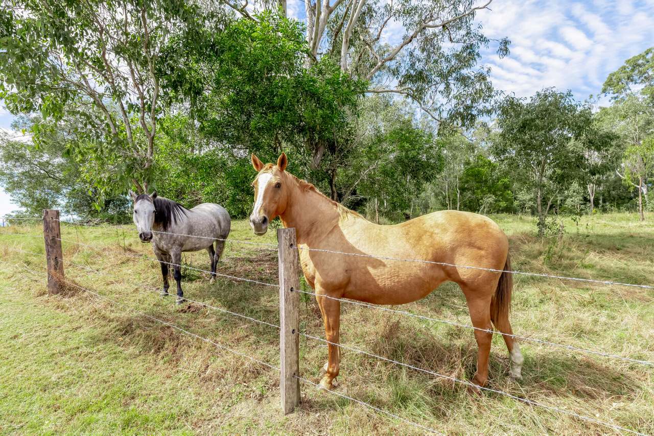 168 Repeater Station Road, Kanigan For Sale by Farmbuy.com - image 26
