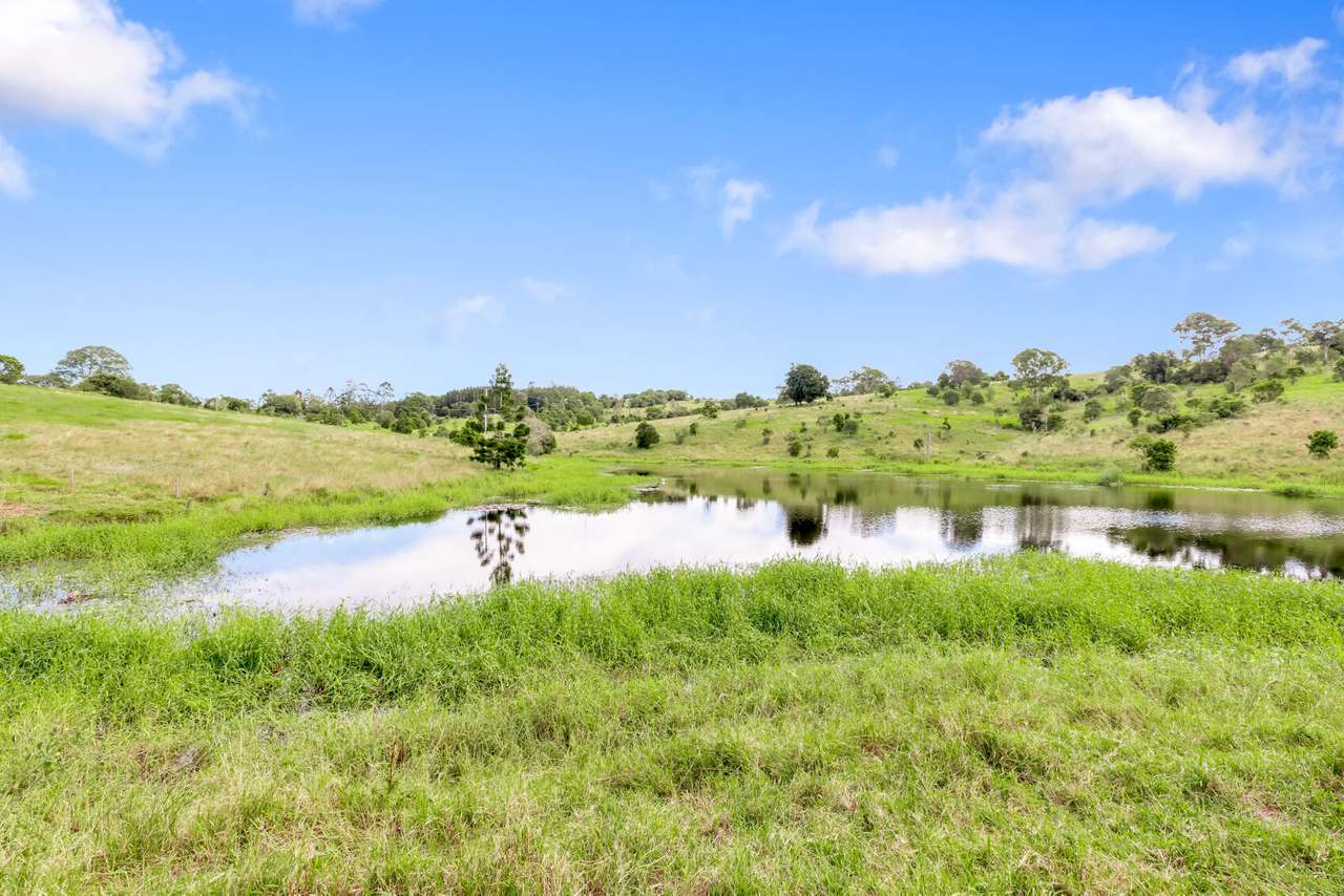 168 Repeater Station Road, Kanigan For Sale by Farmbuy.com - image 34