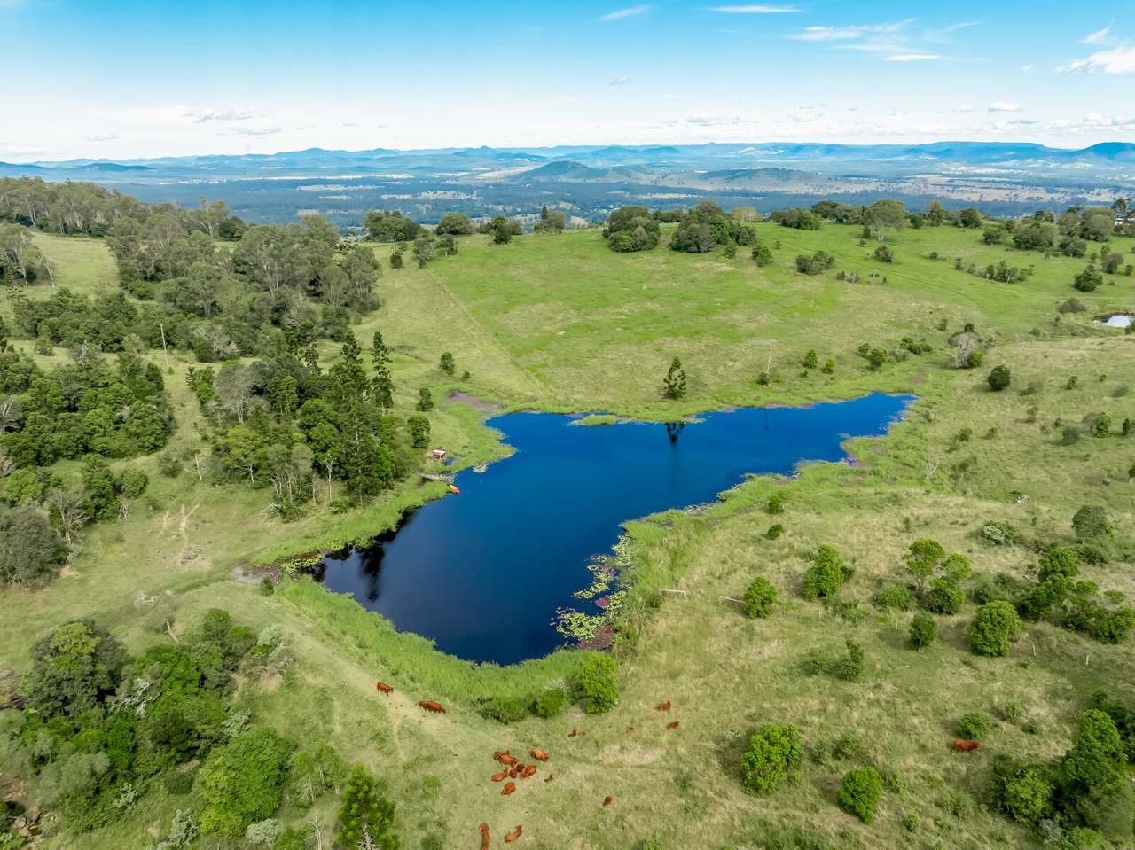 168 Repeater Station Road, Kanigan For Sale by Farmbuy.com - image 2