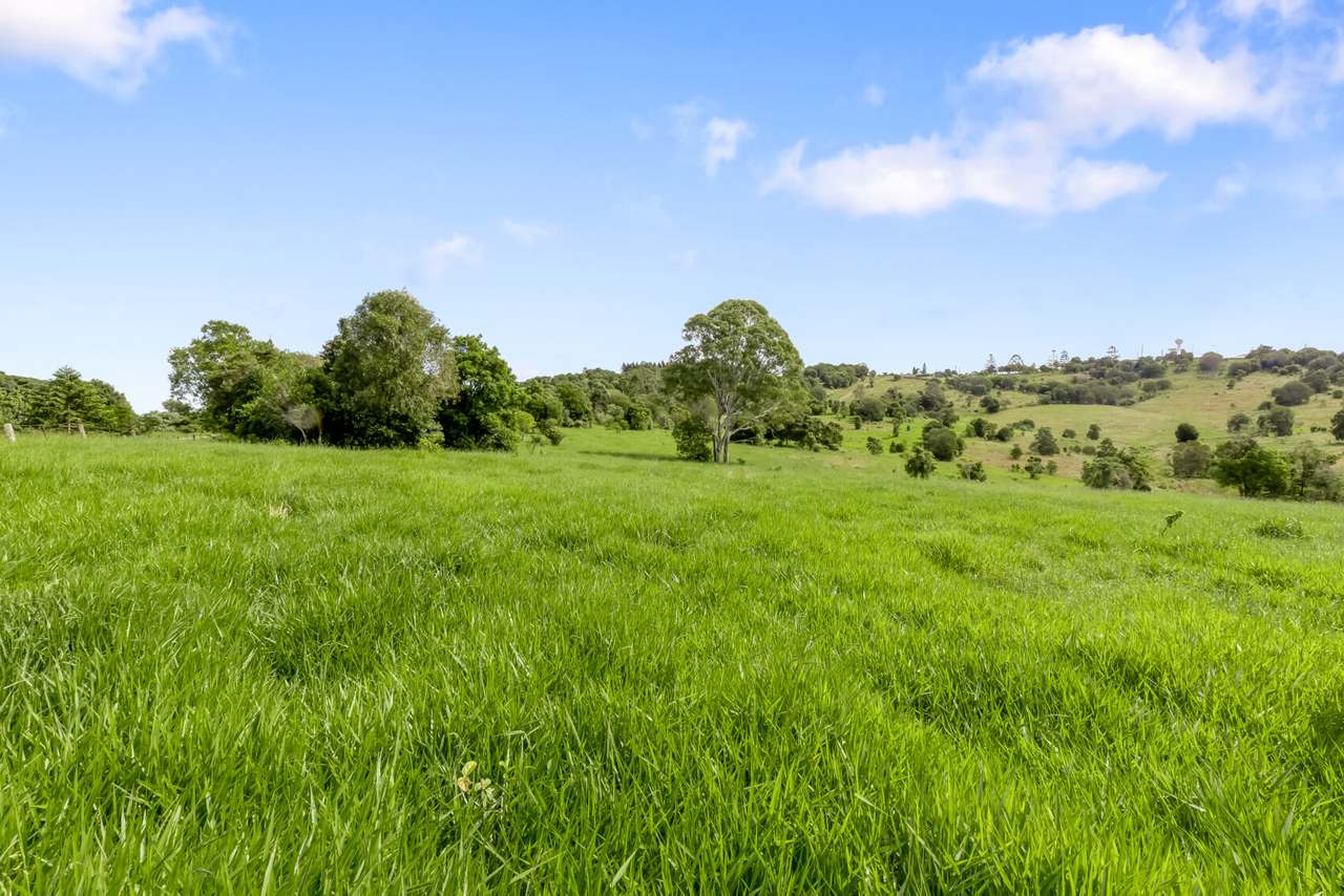 168 Repeater Station Road, Kanigan For Sale by Farmbuy.com - image 29