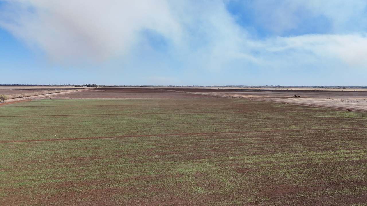 408 Cashmere Road, Widgelli For Sale by Farmbuy.com - image 23