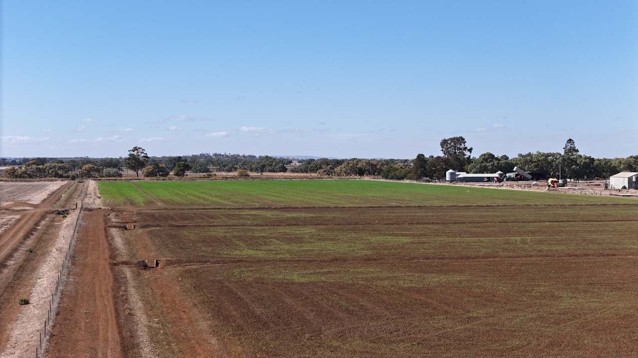 408 Cashmere Road, Widgelli For Sale by Farmbuy.com - image 10