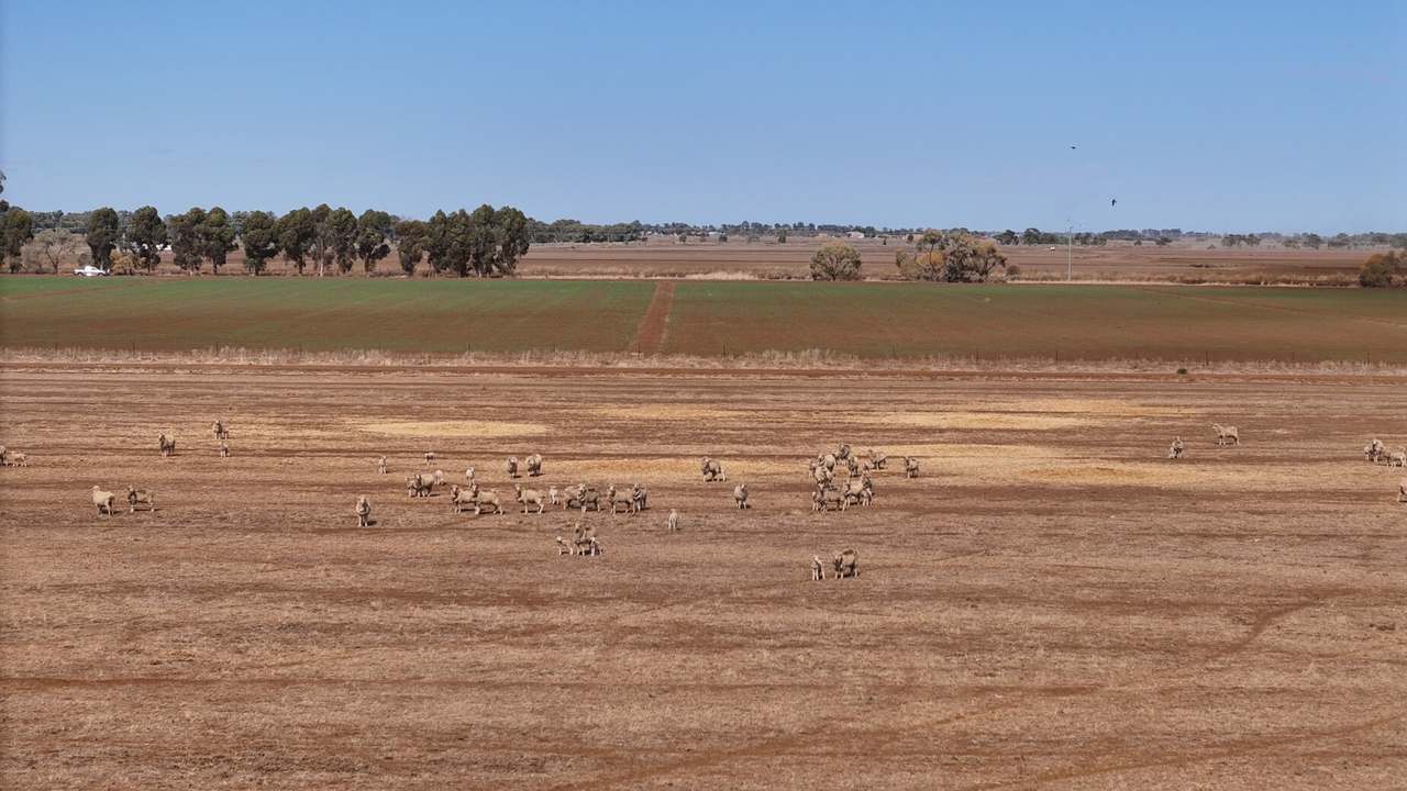408 Cashmere Road, Widgelli For Sale by Farmbuy.com - image 16