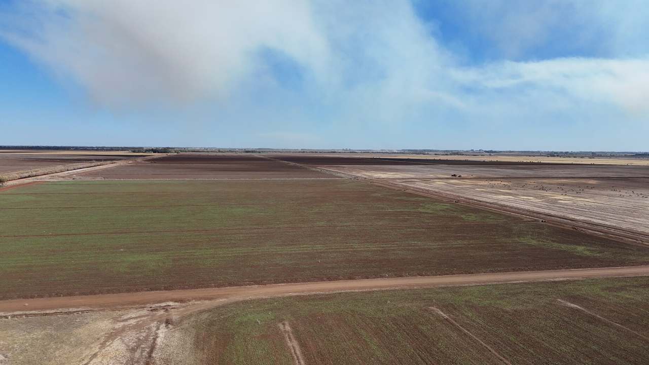 408 Cashmere Road, Widgelli For Sale by Farmbuy.com - image 22