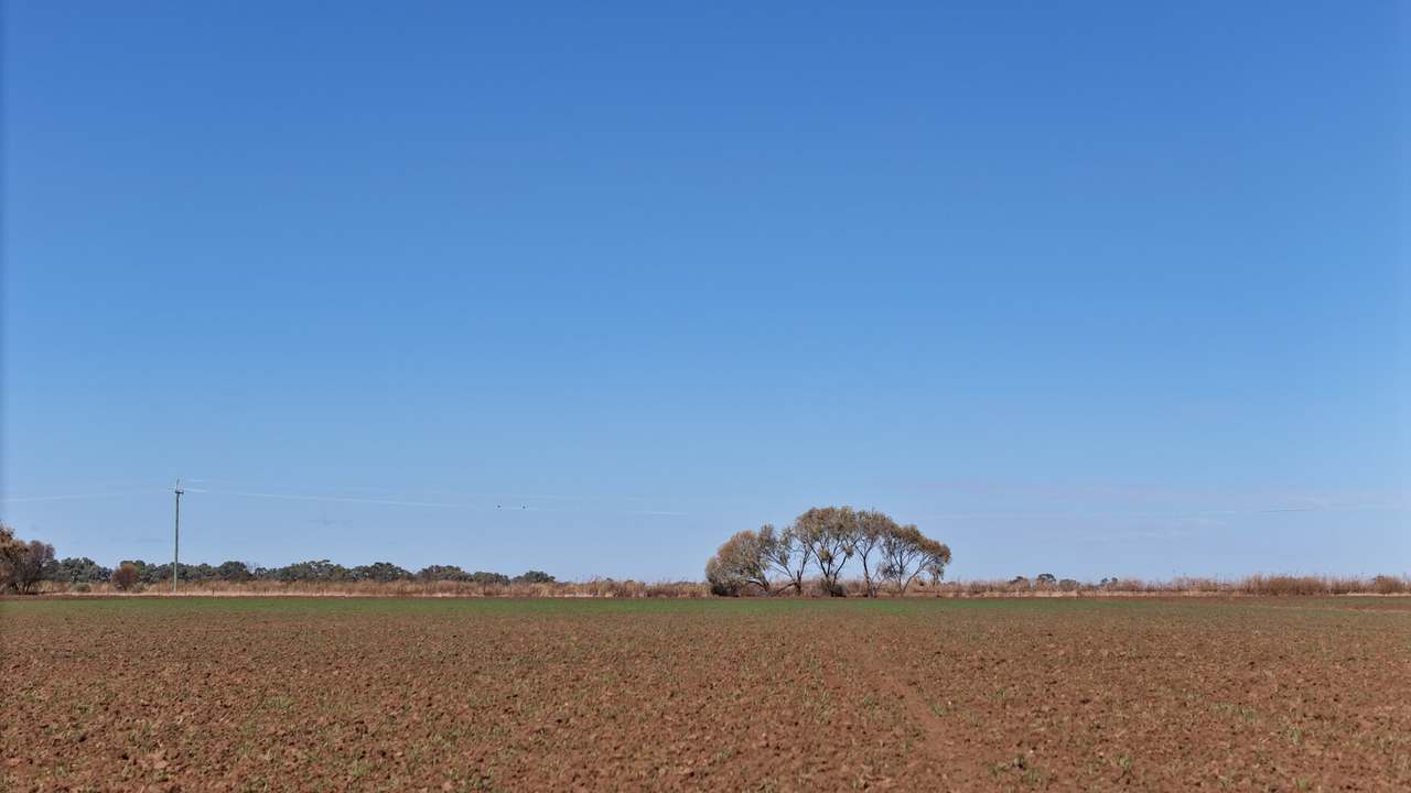 408 Cashmere Road, Widgelli For Sale by Farmbuy.com - image 11