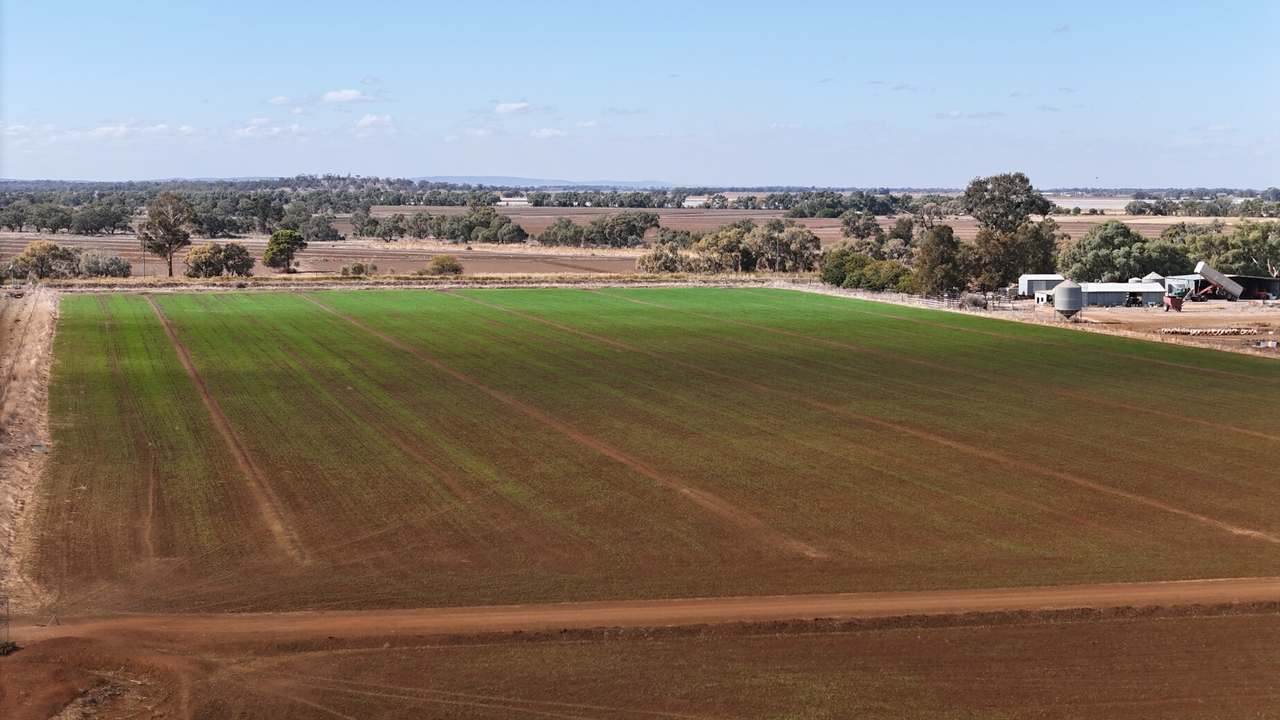 408 Cashmere Road, Widgelli For Sale by Farmbuy.com - image 17