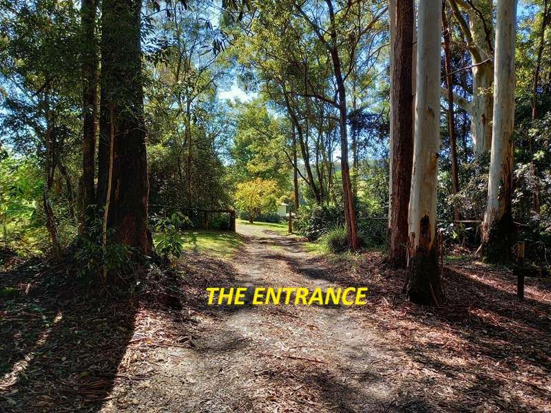 Dorrigo For Sale by Farmbuy.com - image 2