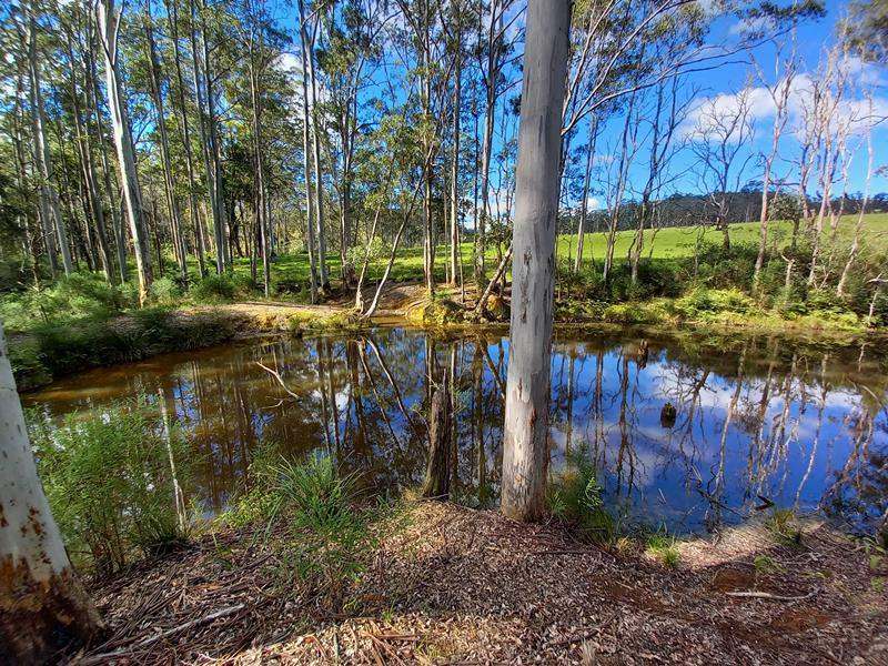 Dorrigo For Sale by Farmbuy.com - image 21