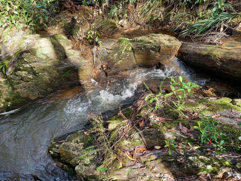 Dorrigo For Sale by Farmbuy.com - image 20