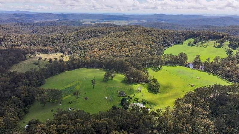 Dorrigo For Sale by Farmbuy.com - image 23