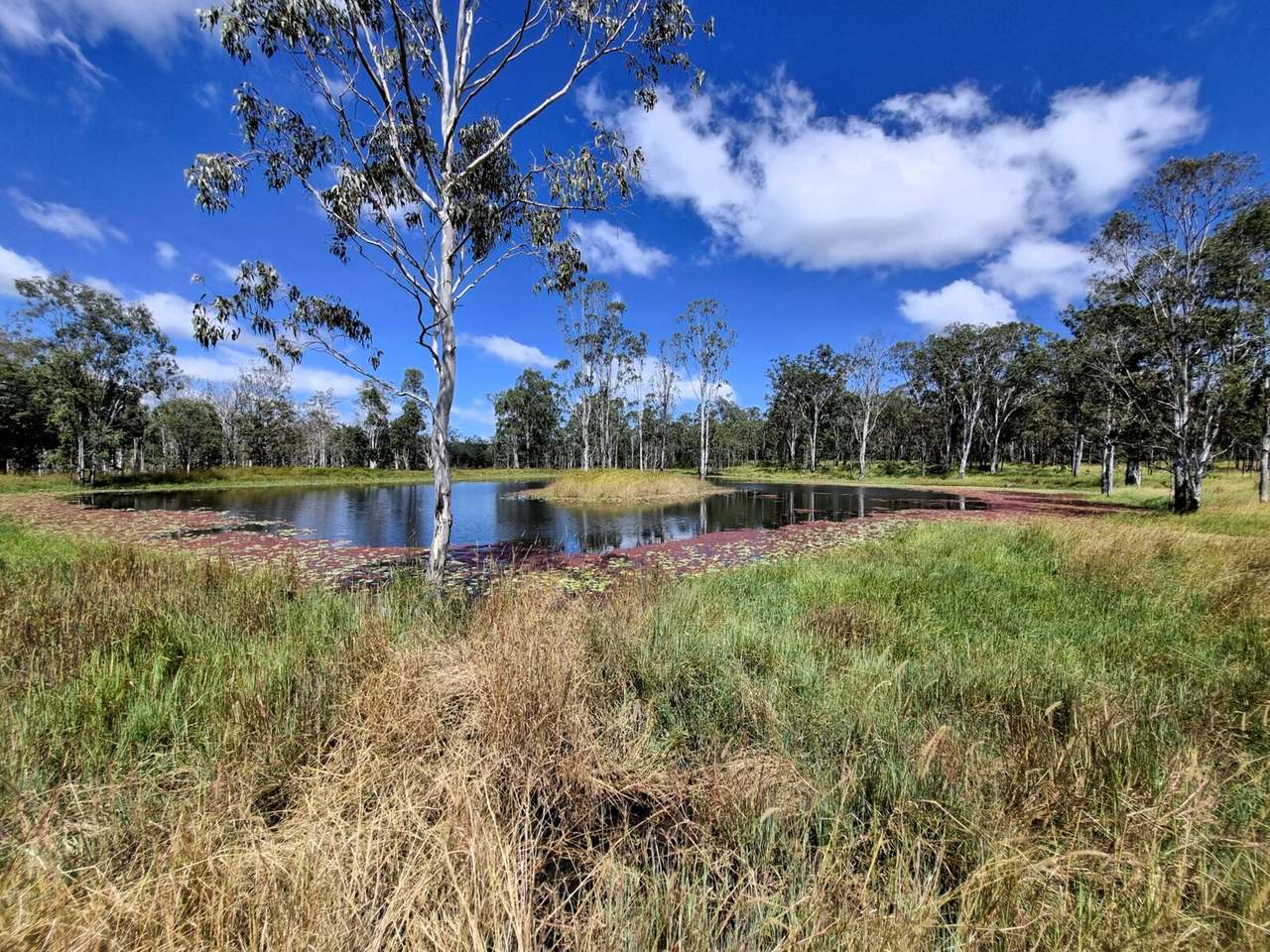 Wondecla For Sale by Farmbuy.com - image 17