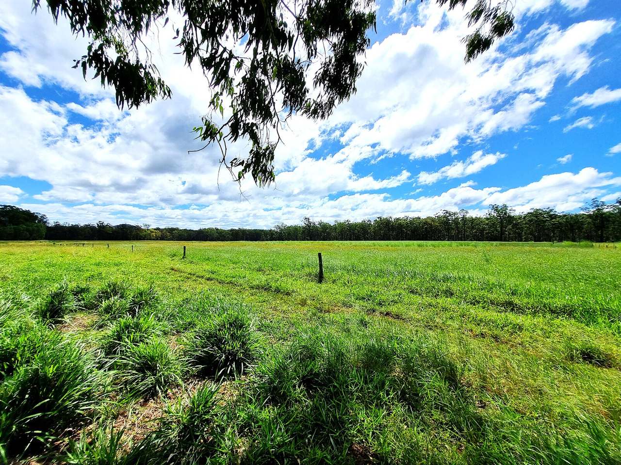 Wondecla For Sale by Farmbuy.com - image 20