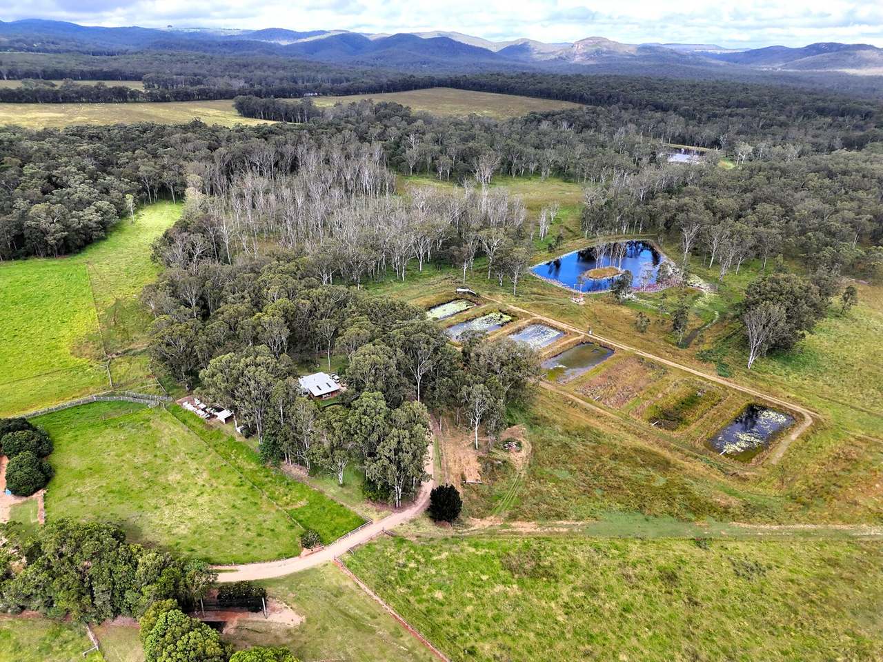 Wondecla For Sale by Farmbuy.com - image 15