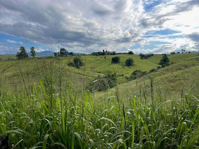 EAST PALMERSTON For Sale by Farmbuy.com - image 4