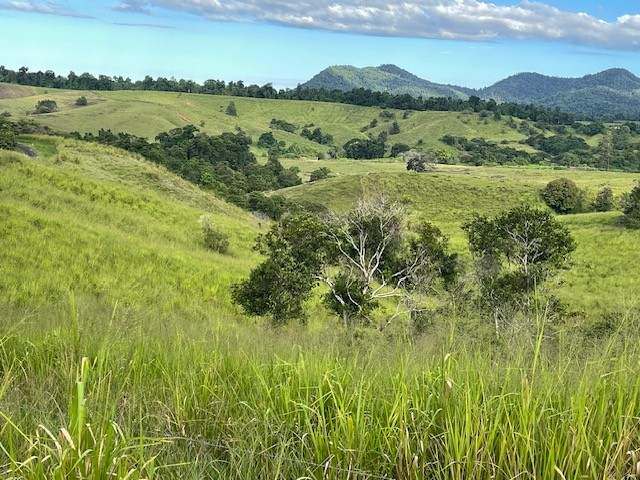 EAST PALMERSTON For Sale by Farmbuy.com - image 2